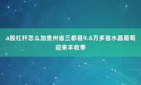 a股杠杆怎么加贵州省三都县9.6万多亩水晶葡萄迎来丰收季